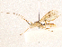  ( - CBG-A04480-B10)  @11 [ ] CreativeCommons - Attribution (2023) CBG Photography Group Centre for Biodiversity Genomics