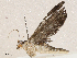  ( - CBG-A04480-E08)  @11 [ ] CreativeCommons - Attribution (2023) CBG Photography Group Centre for Biodiversity Genomics