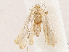  ( - CBG-A04501-B08)  @11 [ ] CreativeCommons - Attribution (2023) CBG Photography Group Centre for Biodiversity Genomics