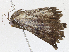  ( - CBG-A04522-C07)  @11 [ ] CreativeCommons - Attribution (2023) CBG Photography Group Centre for Biodiversity Genomics