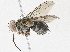  ( - CBG-A04522-D09)  @11 [ ] CreativeCommons - Attribution (2023) CBG Photography Group Centre for Biodiversity Genomics
