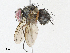  ( - CBG-A04522-D12)  @11 [ ] CreativeCommons - Attribution (2023) CBG Photography Group Centre for Biodiversity Genomics