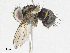  ( - CBG-A04522-F04)  @11 [ ] CreativeCommons - Attribution (2023) CBG Photography Group Centre for Biodiversity Genomics