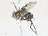  ( - CBG-A04522-F05)  @11 [ ] CreativeCommons - Attribution (2023) CBG Photography Group Centre for Biodiversity Genomics