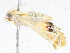  ( - CBG-A04522-G03)  @11 [ ] CreativeCommons - Attribution (2023) CBG Photography Group Centre for Biodiversity Genomics