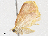  ( - CBG-A04523-A12)  @11 [ ] CreativeCommons - Attribution (2023) CBG Photography Group Centre for Biodiversity Genomics