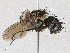  ( - CBG-A04523-B09)  @11 [ ] CreativeCommons - Attribution (2023) CBG Photography Group Centre for Biodiversity Genomics