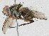  ( - CBG-A04523-B10)  @11 [ ] CreativeCommons - Attribution (2023) CBG Photography Group Centre for Biodiversity Genomics