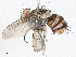  ( - CBG-A04523-C01)  @11 [ ] CreativeCommons - Attribution (2023) CBG Photography Group Centre for Biodiversity Genomics