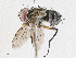  ( - CBG-A04523-C02)  @11 [ ] CreativeCommons - Attribution (2023) CBG Photography Group Centre for Biodiversity Genomics