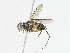  ( - CBG-A04541-D01)  @11 [ ] CreativeCommons - Attribution (2023) CBG Photography Group Centre for Biodiversity Genomics