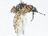  ( - CBG-A04541-D08)  @11 [ ] CreativeCommons - Attribution (2023) CBG Photography Group Centre for Biodiversity Genomics