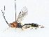  ( - CBG-A04542-A08)  @11 [ ] CreativeCommons - Attribution (2023) CBG Photography Group Centre for Biodiversity Genomics