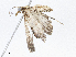  ( - CBG-A04543-C07)  @11 [ ] CreativeCommons - Attribution (2023) CBG Photography Group Centre for Biodiversity Genomics