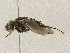  ( - CBG-A04544-D12)  @11 [ ] CreativeCommons - Attribution (2023) CBG Photography Group Centre for Biodiversity Genomics