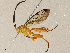  ( - CBG-A04544-E09)  @11 [ ] CreativeCommons - Attribution (2023) CBG Photography Group Centre for Biodiversity Genomics