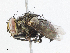  ( - CBG-A04595-A02)  @11 [ ] CreativeCommons - Attribution (2023) CBG Photography Group Centre for Biodiversity Genomics