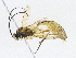  ( - CBG-A05374-D07)  @11 [ ] CreativeCommons - Attribution (2023) CBG Photography Group Centre for Biodiversity Genomics