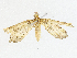  ( - CBG-A05375-D01)  @11 [ ] CreativeCommons - Attribution (2023) CBG Photography Group Centre for Biodiversity Genomics