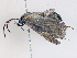 ( - CBG-A05376-A01)  @11 [ ] CreativeCommons - Attribution (2023) CBG Photography Group Centre for Biodiversity Genomics
