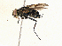  ( - CBG-A05376-C01)  @11 [ ] CreativeCommons - Attribution (2023) CBG Photography Group Centre for Biodiversity Genomics