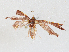  ( - CBG-A05398-B06)  @11 [ ] CreativeCommons - Attribution (2023) CBG Photography Group Centre for Biodiversity Genomics