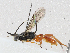  ( - CBG-A05398-D11)  @11 [ ] CreativeCommons - Attribution (2023) CBG Photography Group Centre for Biodiversity Genomics