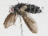  ( - CBG-A04502-F07)  @11 [ ] CreativeCommons - Attribution (2023) CBG Photography Group Centre for Biodiversity Genomics