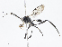  ( - CBG-A04525-A06)  @11 [ ] CreativeCommons - Attribution Share - Alike (2023) CBG Photography Group Centre for Biodiversity Genomics