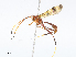  ( - CBG-A04525-G11)  @11 [ ] CreativeCommons - Attribution Share - Alike (2023) CBG Photography Group Centre for Biodiversity Genomics