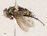 ( - CBG-A04570-C06)  @11 [ ] CreativeCommons - Attribution (2023) CBG Photography Group Centre for Biodiversity Genomics