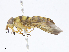  ( - CBG-A04572-E06)  @11 [ ] CreativeCommons - Attribution Share-Alike (2023) CBG Photography Group Centre for Biodiversity Genomics