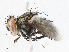  ( - CBG-A04599-A01)  @11 [ ] CreativeCommons - Attribution (2023) CBG Photography Group Centre for Biodiversity Genomics