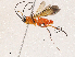  ( - CBG-A05377-C06)  @11 [ ] CreativeCommons - Attribution (2023) CBG Photography Group Centre for Biodiversity Genomics