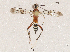  ( - CBG-A05377-C09)  @11 [ ] CreativeCommons - Attribution (2023) CBG Photography Group Centre for Biodiversity Genomics