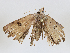  ( - CBG-A05399-C09)  @11 [ ] CreativeCommons - Attribution (2023) CBG Photography Group Centre for Biodiversity Genomics