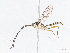  ( - CBG-A06199-B01)  @11 [ ] CreativeCommons - Attribution (2023) CBG Photography Group Centre for Biodiversity Genomics