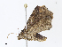  ( - CBG-A06246-D12)  @11 [ ] CreativeCommons - Attribution (2023) CBG Photography Group Centre for Biodiversity Genomics