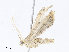 (spiloMalaise8906 - CBG-A06246-E10)  @11 [ ] CreativeCommons - Attribution (2023) CBG Photography Group Centre for Biodiversity Genomics