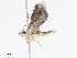 ( - CBG-A06246-F01)  @11 [ ] CreativeCommons - Attribution (2023) CBG Photography Group Centre for Biodiversity Genomics