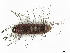  ( - CBG-A06246-H08)  @11 [ ] CreativeCommons - Attribution (2023) CBG Photography Group Centre for Biodiversity Genomics