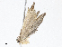  ( - CBG-A07061-D08)  @11 [ ] CreativeCommons - Attribution Share - Alike (2023) CBG Photography Group Centre for Biodiversity Genomics