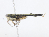  ( - CBG-A07083-E05)  @11 [ ] CreativeCommons - Attribution Share - Alike (2023) CBG Photography Group Centre for Biodiversity Genomics