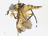  ( - CBG-A07085-B07)  @11 [ ] CreativeCommons - Attribution Share - Alike (2023) CBG Photography Group Centre for Biodiversity Genomics