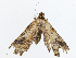  ( - CBG-A08744-B01)  @11 [ ] CreativeCommons - Attribution Share - Alike (2023) CBG Photography Group Centre for Biodiversity Genomics