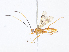  ( - CBG-A08744-D11)  @11 [ ] CreativeCommons - Attribution Share - Alike (2023) CBG Photography Group Centre for Biodiversity Genomics
