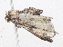 ( - CBG-A08744-G08)  @11 [ ] CreativeCommons - Attribution Share - Alike (2023) CBG Photography Group Centre for Biodiversity Genomics