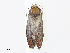  ( - CBG-A08746-B08)  @11 [ ] CreativeCommons - Attribution Share - Alike (2023) CBG Photography Group Centre for Biodiversity Genomics