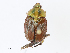  ( - CBG-A08747-A11)  @11 [ ] CreativeCommons - Attribution Share-Alike (2023) CBG Photography Group Centre for Biodiversity Genomics