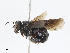  ( - CBG-A08747-C05)  @11 [ ] CreativeCommons - Attribution Share-Alike (2023) CBG Photography Group Centre for Biodiversity Genomics